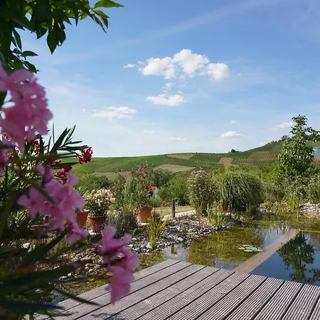 The View - Helfenberg بيت للعطل *