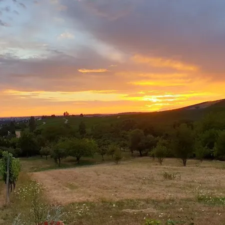 The View - Helfenberg بيت للعطل *