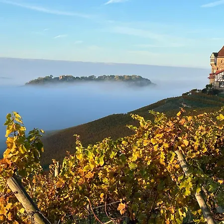 펜션 The View - Helfenberg