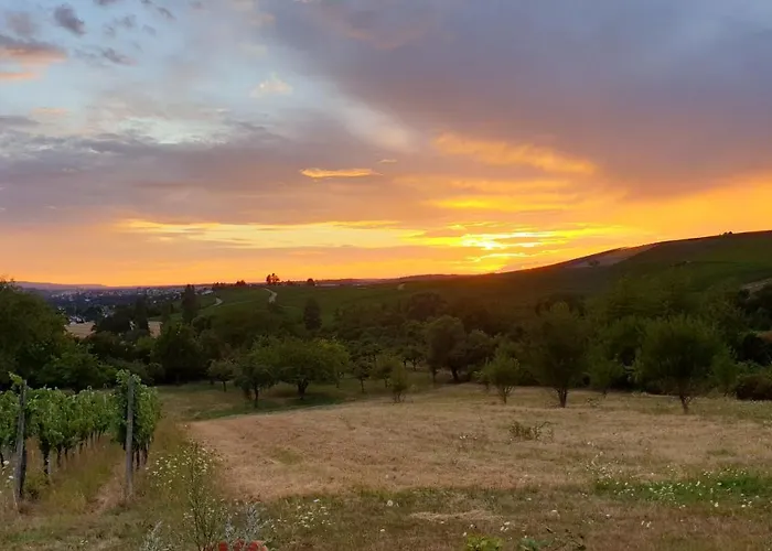 The View Semesterbostad *